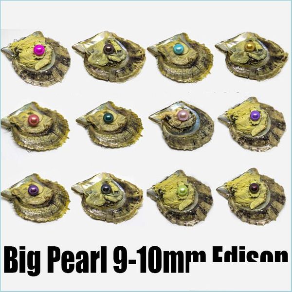 Perlenauster mit Perle, groß, rund, in Austernfarben, Edison-Perlen, 9–10 mm, zum Öffnen zu Hause, vakuumverpackt, Drop-Lieferung, 2021, Schmuck, Mj Dh8Mv