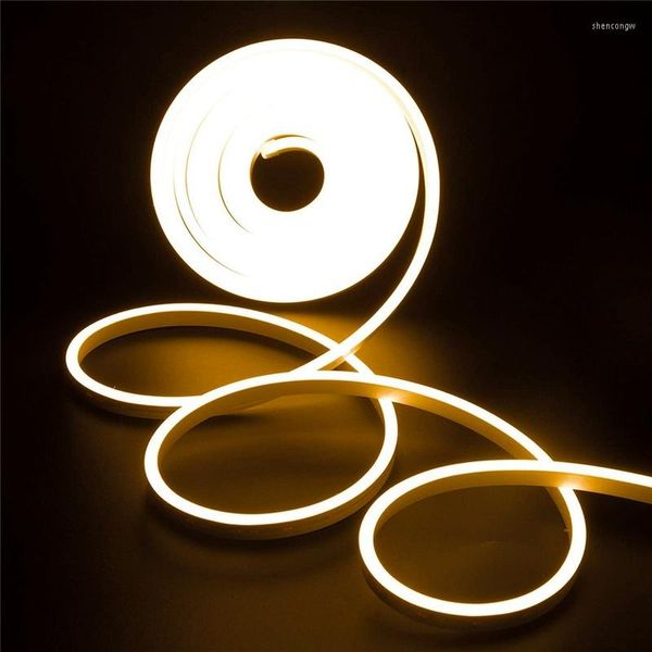 Streifen DC12V Streifen LED-Licht Wasserdicht SMD 2835 Flexible Neonlichter für Heimdekoration Warmweiß 5M Zeichen