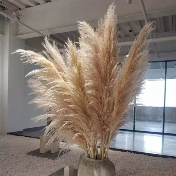 Flores decorativas grinaldas de casamento pampas grama grande tamanho fofo para casa decoração de natal plantas naturais flores secas secas wly935