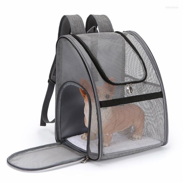 Katzenträger Outdoor Mesh Carrier Rucksack atmungsable Tiertasche für Welpenkätzchen tragbare Taschen Komfort kleine Hunde Katzen