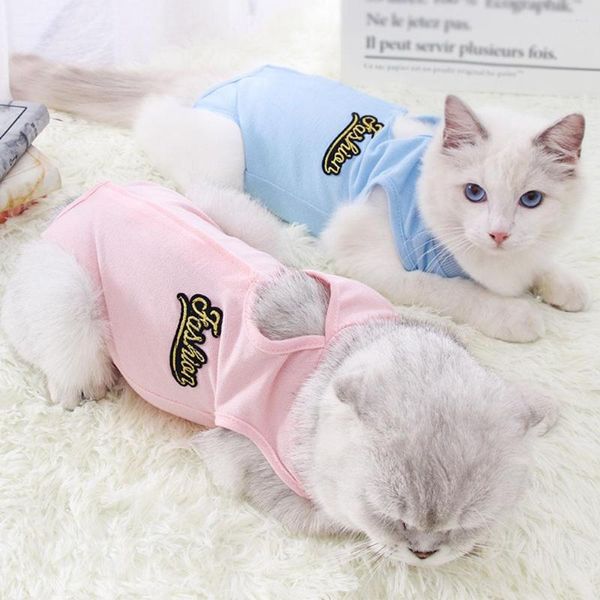 Traje de recuperação de vestuário para cães para cães gatos após camisa de estimação de animais de estimação Folho de cachorro pug Pug