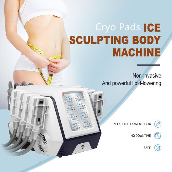 Scultura di ghiaccio Grasso Congelamento Dimagrante Cryolipolysis Grasso Riduzione macchina Crioterapia Cool Technology Body Sculpting Equipment