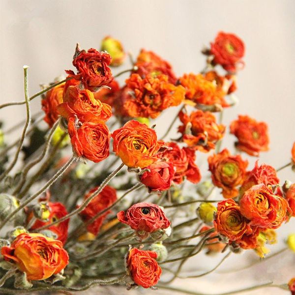 Ghirlande di fiori decorativi Fiori secchi naturali Peonia retrò europea Boccioli di alta qualità Bouquet da sposa Decorazione Decorazioni per feste Articoli per Ho