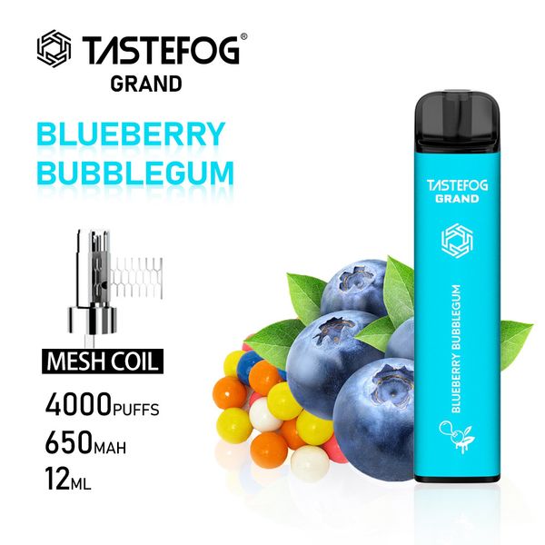 DX Tastefog E sigaretta ricaricabile monouso Vape 4000 soffi 2% con prezzo all'ingrosso