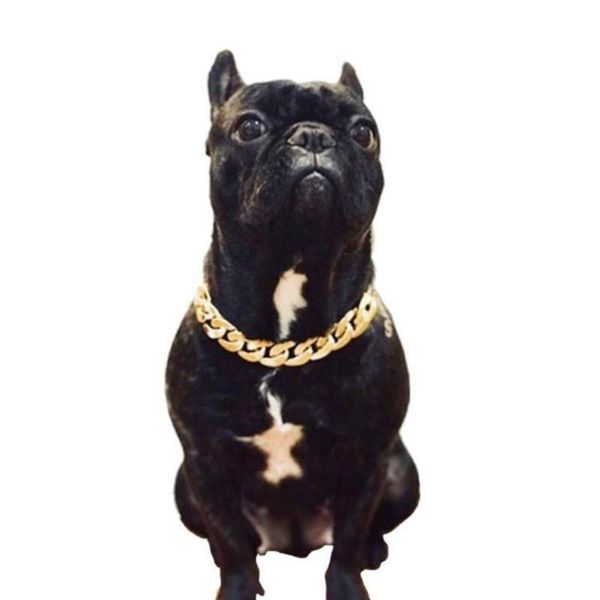 Hundehalsbänder Leinen Mode Haustier Katze Welpe KittenNecklace Dicke Kette Gold Sicherheit Hundebedarf Identifiziertes Halsband Überzogener Plast L0K8Dog