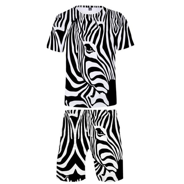 Camisetas masculinas moda 3d zebra crianças conjuntos de duas peças