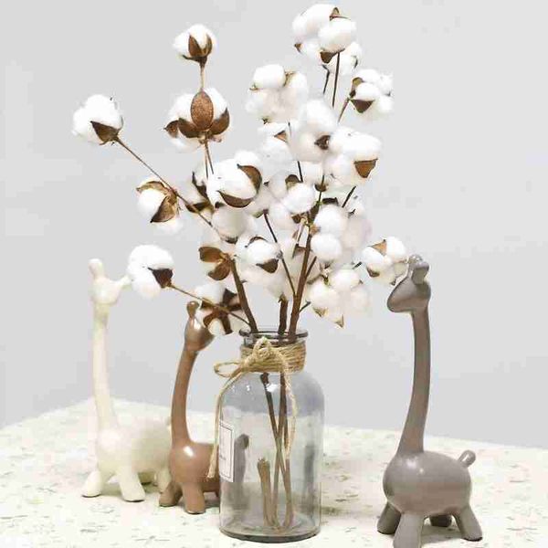 Fiori decorativi Ghirlande Testa Cotone essiccato naturalmente Casa Ramo floreale artificiale Matrimonio Bouquet damigella d'onore Decor Fiore biancoDecorati