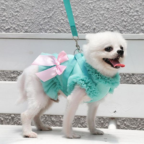 Collari per cani Guinzaglio per gilet Guinzaglio regolabile Collare per abito in maglia Pettorine per pettorali con corda di trazione XS/S/M/L/XL