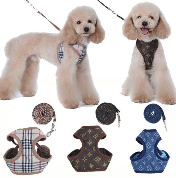 7 colori collari per cani classico presbiopia designer lettere modello stampa guinzagli pelle PU moda regolabile cani gatti tracolla carino imbracature per animali domestici set all'ingrosso