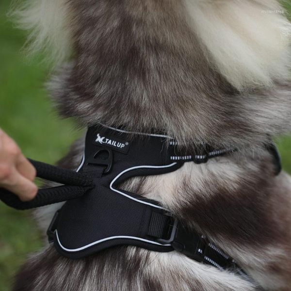 Köpek yakaları yansıtıcı kablo demeti yelek ayarlanabilir yastıklı güvenlik hızlı serbest bırakma nefes alabilir