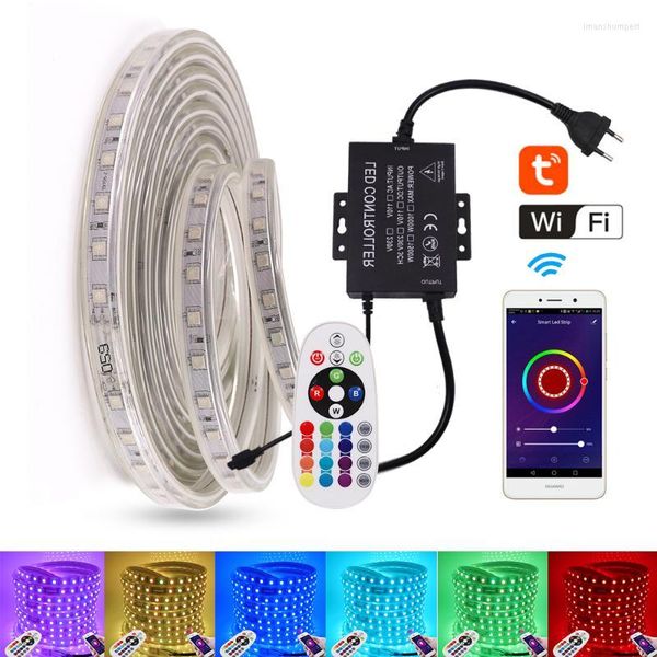 Streifen RGB LED Streifen 220V 110V Wasserdichte WIFI Steuerung 1500W Controller 24key Remote Flexible Band Seil licht