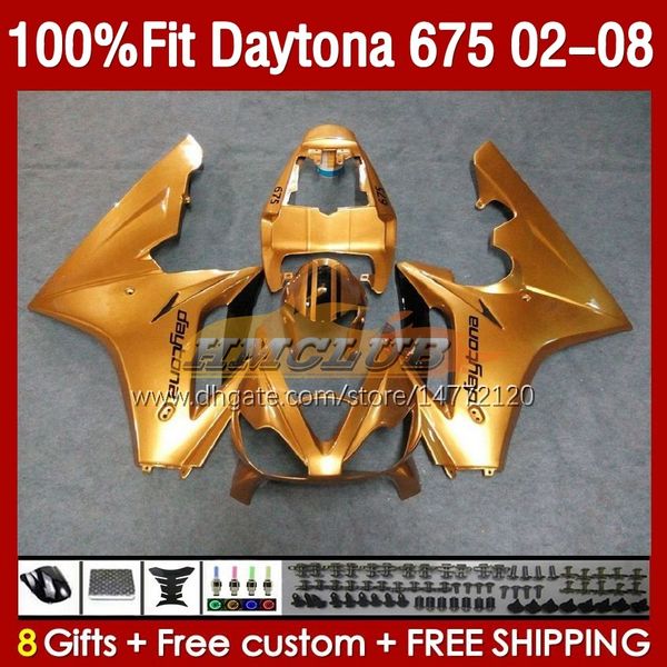 Обтекание плесени для инъекции для Daytona 675 675R 02 03 04 05 06 07 08 Bodys 148No.10 Daytona675 Daytona 675 R 2002 2003 2004 2005 2006 2007 2008 OEM Fairing Kit Glossy Golden