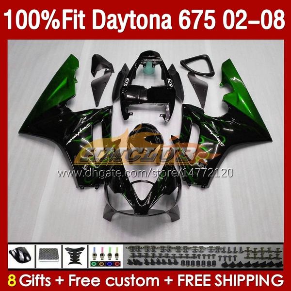 OEM-общеизлияние для Daytona675 2002 2003 2004 2005 2006 2007 2008 2008 кузова 148no.65 Daytona 675 R CC 675R 02 03 04 05 06 07 08 675CC 02-08 Комплект для обтекания инъекции Зеленый пламя Зеленое пламя