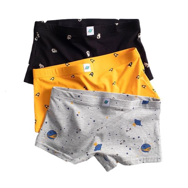 Damenhöschen HaleyChan 1-teilige Cartoon-Unterwäsche-Boxershorts für Trans-Lesben-Tomboy-Baumwollunterwäsche-Boxershorts 221202