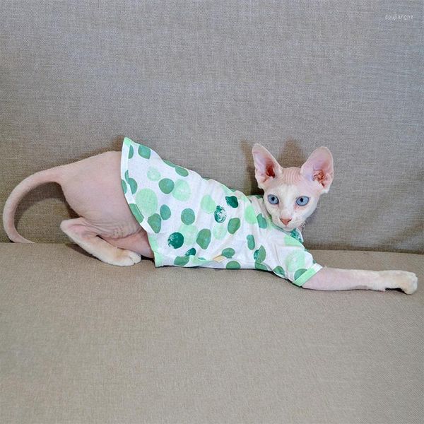 Katzenkostüme, Bambus-Baumwollkleidung, Sommer-Sphinx-Weste, Mesh, atmungsaktiv, haarlose Outfits, Devon-Rex-Hosenträger, Sphynx-Kleidung