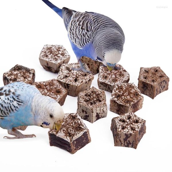 Outros pássaros suprimentos de pássaros Pet Toys Brinquedos naturais Blocos de frutas secas ao bico para pássaros Pudeiros de pássaros