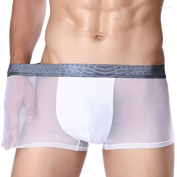 Underpants l-3xl alto gelo elástico seda transparente gaze boxer respirável shorts íntimos de roupa de baixo