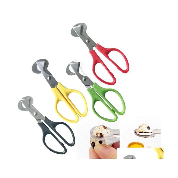 Ferramentas de ovo Ferramentas de codorna Corcedor de ovo Pequeno Crack Pigeon Bottle Bottle Kitchen Scissors Bird Tool Blade Cigar Cigar Shear Shell Inventário inteiro dhf72