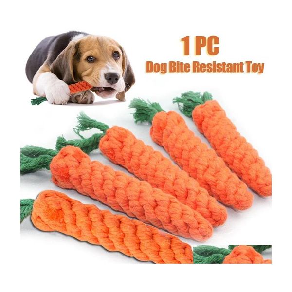 Brinquedos para cães Chews 1 Pet Dog Toy Cartoon Animal Cresce