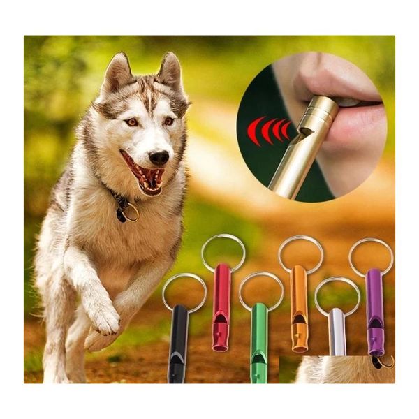 Andere Hundebedarfsartikel Dog Drive Pet Dogs Training Whistle Pitch Antibarking Flute Pets Supplies Schlüsselanhänger Outdoor Survival Whistles Inv Dhipy