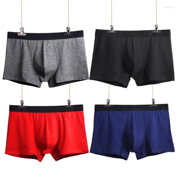 Unterhosen 4 Teile/los Männer Unterwäsche Marke Boxer Baumwolle Atmungsaktive Sexy Shorts U Konvexen Tasche 2022 Große Männer Männlich