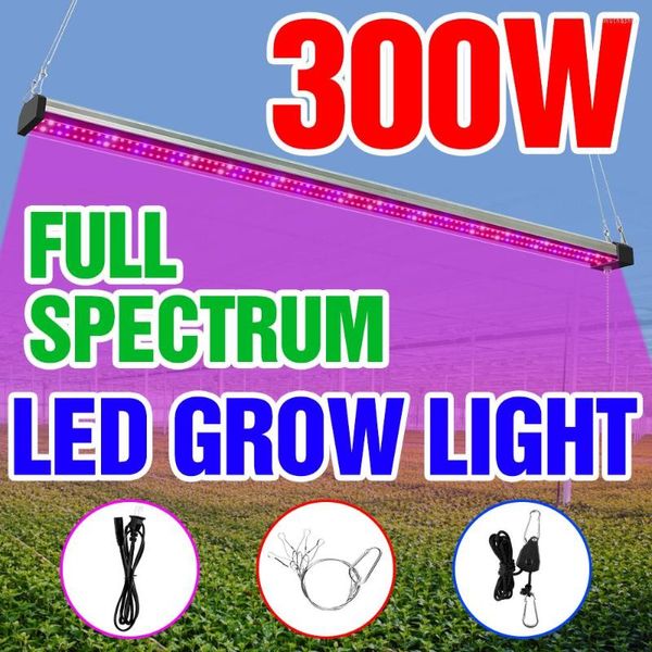 Grow Lights 220V İç Mekan Fitolamp LED Bitki Büyüme Işığı Tam Spektrum Paneli Fito Lamba Hidroponik Ampul Fitolampy Çadır için