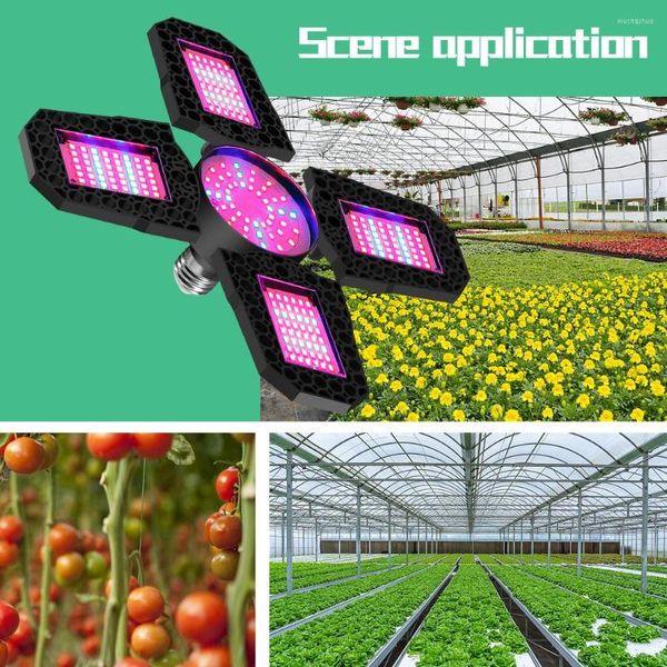 Luzes Grow Lights Full Spectrum LED LUZ E27 PHYTOLAMP BULBA PARA PLANTAS Lâmpada dobrável deformável sementes de vegetais da tenda interna