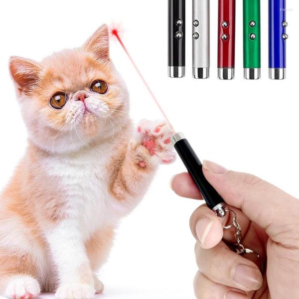 Brinquedos de gatos brinquedos interativos para cães com suprimentos de perseguição White LED Torch Children Keyring leve Keyring