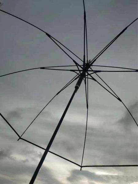 Guarda-chuvas de golfe à prova de vento Guarda-chuva elegante transparente bela casa e jardim organização de limpeza
