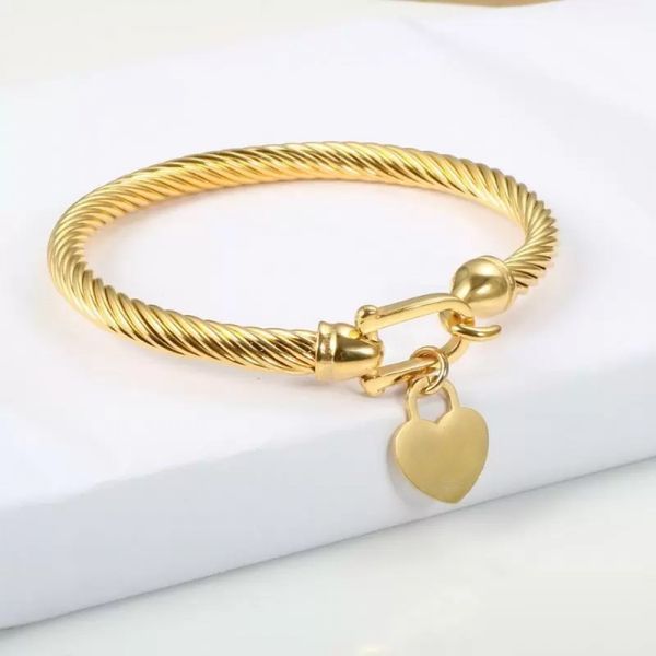 Braccialetti dorati 18k Bracciale Cavo Cavo Golden Silver Rose Color Love Charm Bangles Bracciale con chiusura per ganci per donne Designer Regali di gioielleria da sposa