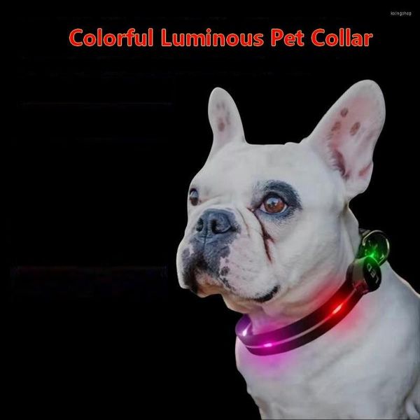 Colarinhos de cães LED LIGHT UP LASH E GLOW RECULHADEMENTE SEGURA EM DARE