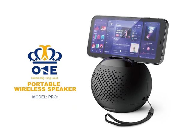 Altoparlante portatile circolare Pro1 Doppio corno Subwoofer esterno impermeabile Altoparlanti wireless Supporto FT USB Card Radio FM