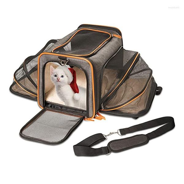 Transportadores de gatos Pet Travel Bag Airline Airline aprovada Expandível Backpack de transportadora de cães 5 portas abertas fitas refletidas Transporte de bolsa