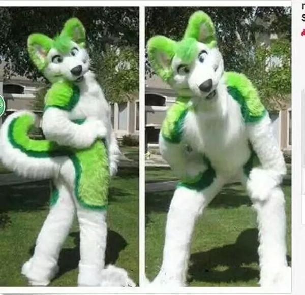 2022 realizzato in modo professionale nuovo costume della mascotte del cane Husky verde volpe vestito animale costumi di scena per tutto il corpo di Halloween Natale compleanno