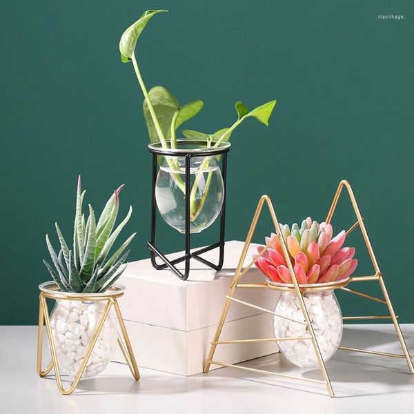 Vasos Vasos de ferro hidropônico de ferro forjado Vaso de vidro criativo Desktop Decoração verde Dill Flor Ornament Decore