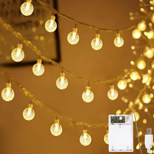 Stringhe Crystal Ball Fairy Lights 6M 40pcs LED Globe String USB/Bubble alimentato a batteria 2 Modalità di controllo