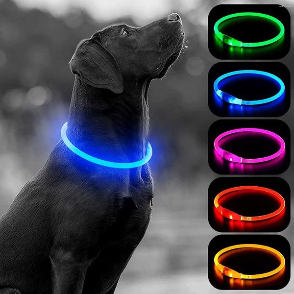 Hundehalsbänder, LED-Halsband, Licht, USB, wiederaufladbar, aus TPU, schneidbare Halskette für nächtliche Spaziergänge