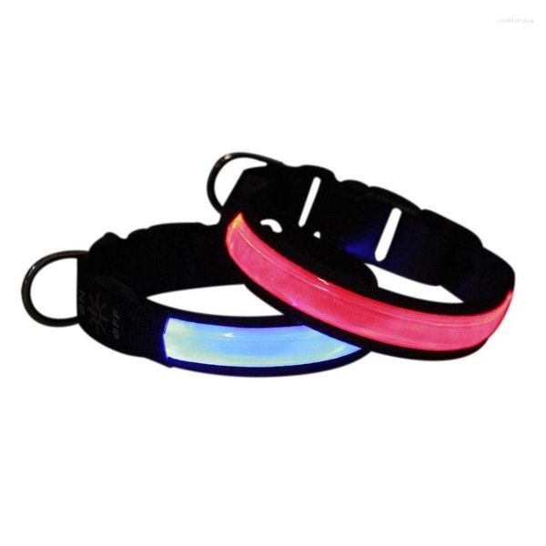 Collari per cani Collare luminoso Impermeabile ricaricabile Anti-smarrimento per animali domestici Tipo completo Accessori per cani regolabili universali