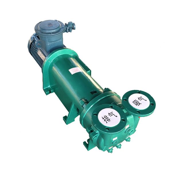 Unità completa antideflagrante per pompe per vuoto ad anello d'acqua da 5,5 kW serie 2BV 2BV6111 Contattaci per l'acquisto