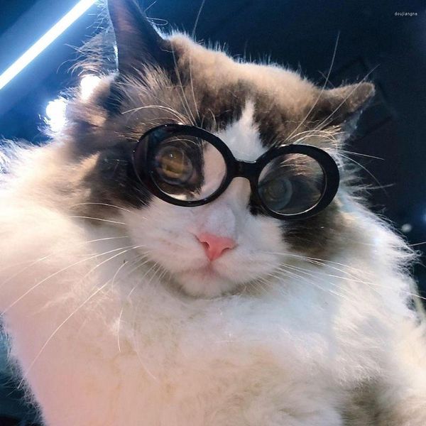 Trajes de gatos óculos de sol da moda vintage copos de estilo de estilo para cães pequenos Creatom redondo os acessórios para animais de estimação