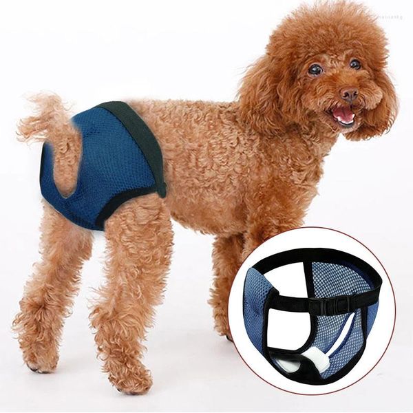 Abbigliamento per cani Biancheria intima per animali domestici Pantaloni per cuccioli Pannolino fisiologico Mutandine sanitarie Pantaloncini Slip mestruali Accessori per animali S-XL