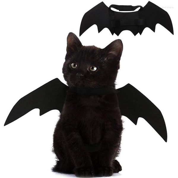 Trajes de gato asas de morcego de estimação para a decoração de festas de halloween colar de cachorro lidera fantasia de cosplay acessórios de roupas fofas