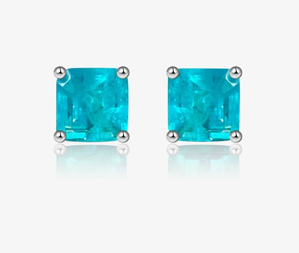 Charm Sterling Paraiba Argento Intarsiato Gioiello Orecchini Accessori Orecchio Femminile Personalità Ins