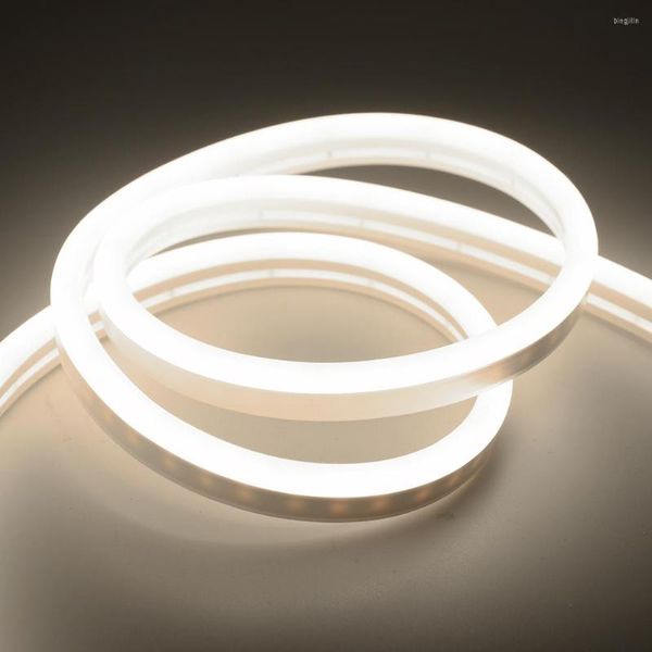 Partydekoration 220V RGB Neonstreifen LED-Licht 24-Tasten-Fernbedienung oder einfarbiges Seil Wasserdichtes flexibles Band im Freien