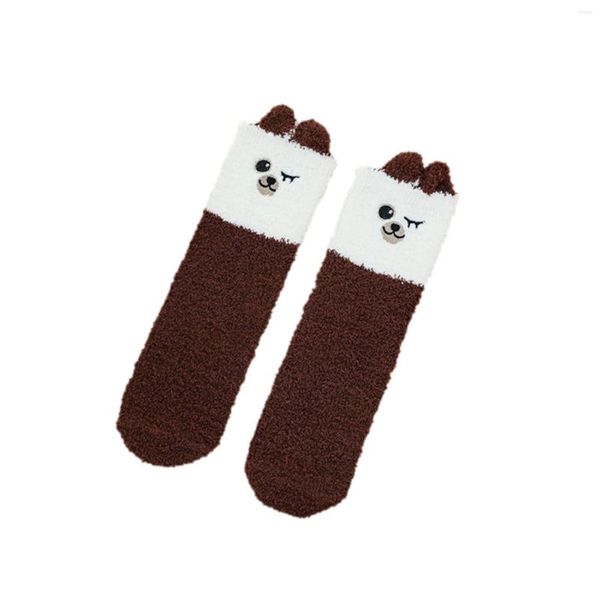 Calze da donna Cute Pet Animal Coral Velvet Plus Warm Home Floor In Tube Calcetines Mujer Christmas