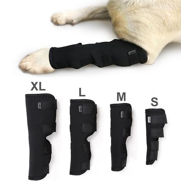 Hundebekleidung Haustier-Knieschützer, Stützorthese für Beinverletzungen, Wiederherstellung des Sprunggelenks, atmungsaktiver Beinschutz, Gesundheitszubehör