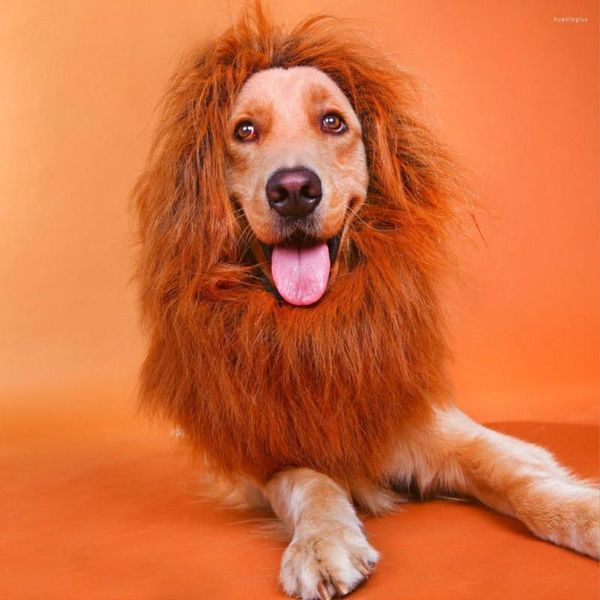 Abbigliamento per cani Costume per animali domestici Accessori per parrucche Cosplay Prop Lion Mane Taglia grande Labrador Golden Retriever