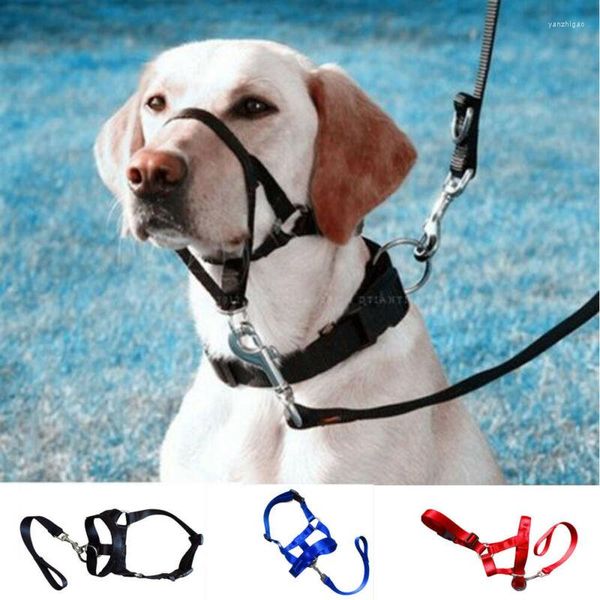 Hundehalsbänder, Haustier-Kopfhalsband, Nylon, sanfter Halter, Leine, Anführer, keine Zuggurte für die Ausbildung von Hunden, Stop-Pull-Tool-Produkt