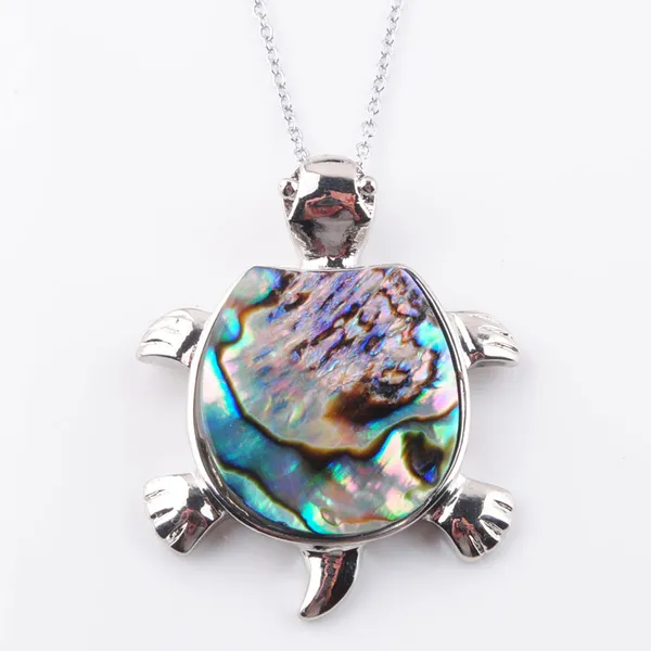 Nuova Zelanda Abalone Tartaruga Pendenti delle collane Perla naturale Conchiglia Perline Catena Reiki Donna Uomo Gioielli N3648