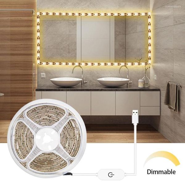 Strisce SMD2835 5V USB Led Strip Light Sensore tattile Nastro dimmerabile 1M 2M 3M Bianco freddo / Caldo Flessibile Retroilluminazione TV